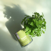 Load image into Gallery viewer, Essential Basil Culinary Garden