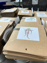 Load image into Gallery viewer, Garden in a Bag Snapdragon