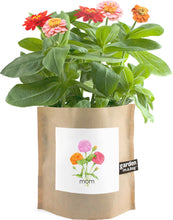 Load image into Gallery viewer, Garden in a Bag Mom