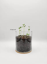 Load image into Gallery viewer, Happy Birthday Flower Garden