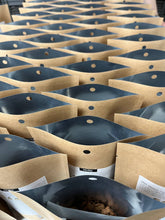 Load image into Gallery viewer, Garden in a Bag Snapdragon