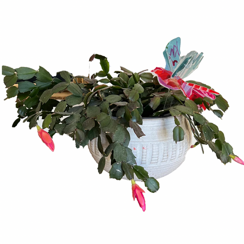Bird Plant Stick