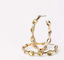 Load image into Gallery viewer, Allie Earrings- Large