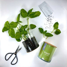Load image into Gallery viewer, Essential Basil Culinary Garden