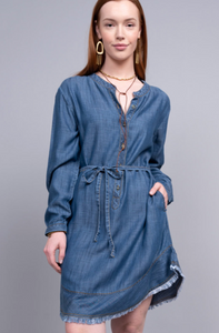 Ivy Jane Denim Tencel Shirt Dress